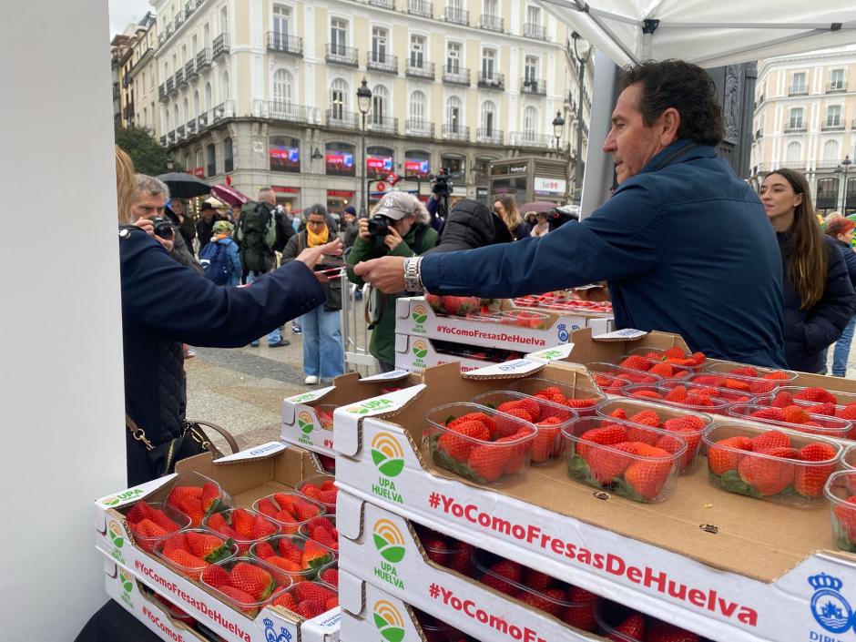 Reparto de fresas de Huelva de UPA en la Puerta del Sol