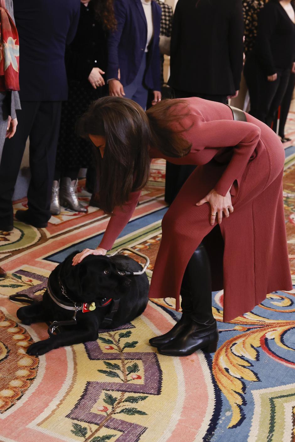 La Reina Letizia, acariciando a un perro guía