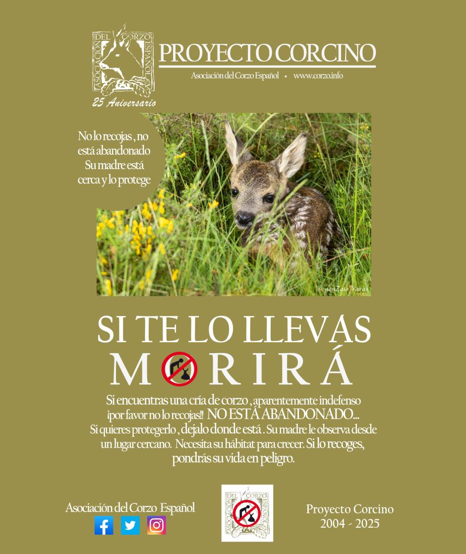 Cartel del Proyecto Corcino 2025