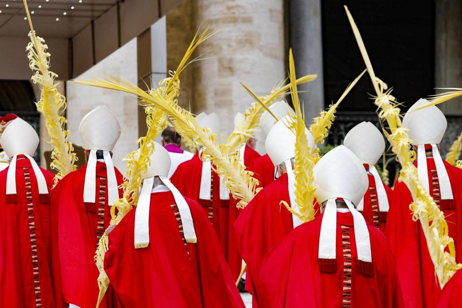 Los cardenales llegan a la plaza de San Pedro portando sus palmas