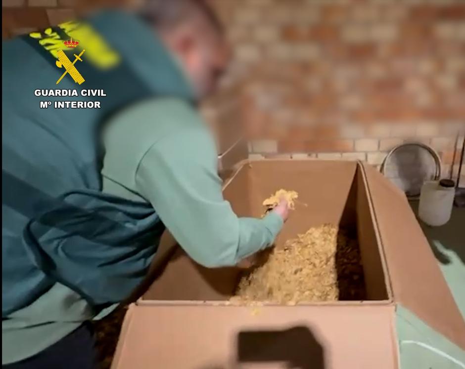 La Guardia Civil, durante el registro