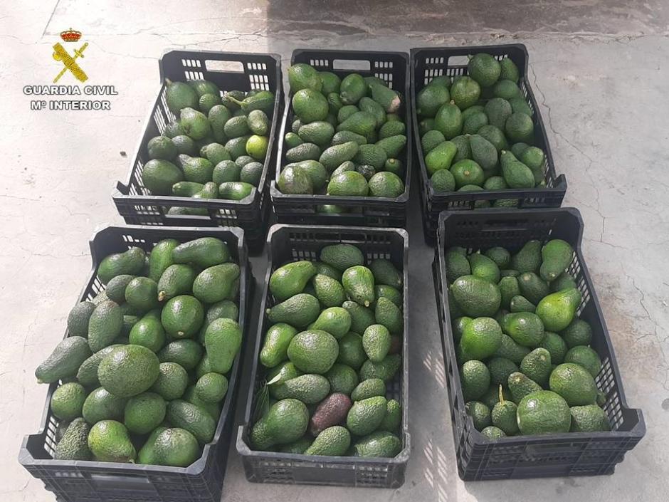 Tres toneladas de aguacates robados en la provincia de Alicante