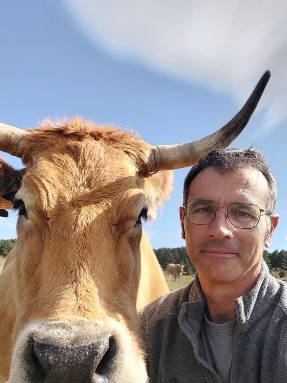 Joaquín Gargallo, ganadero en Mosqueruela (Aragón) junto a una de sus vacas