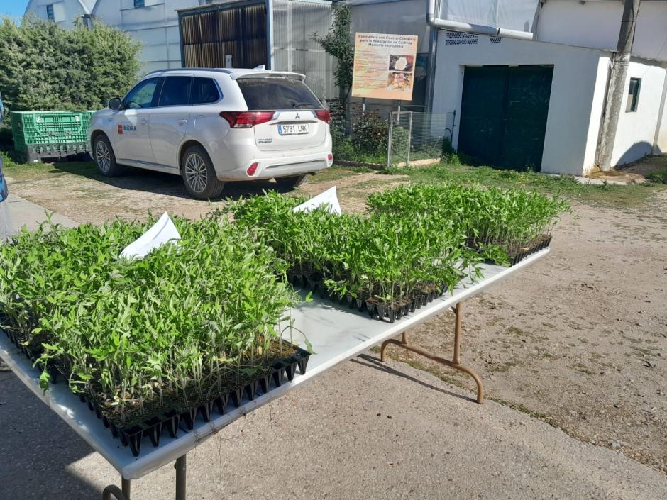 Algunas de las frutas y verduras revividas por la Comunidad de Madrid