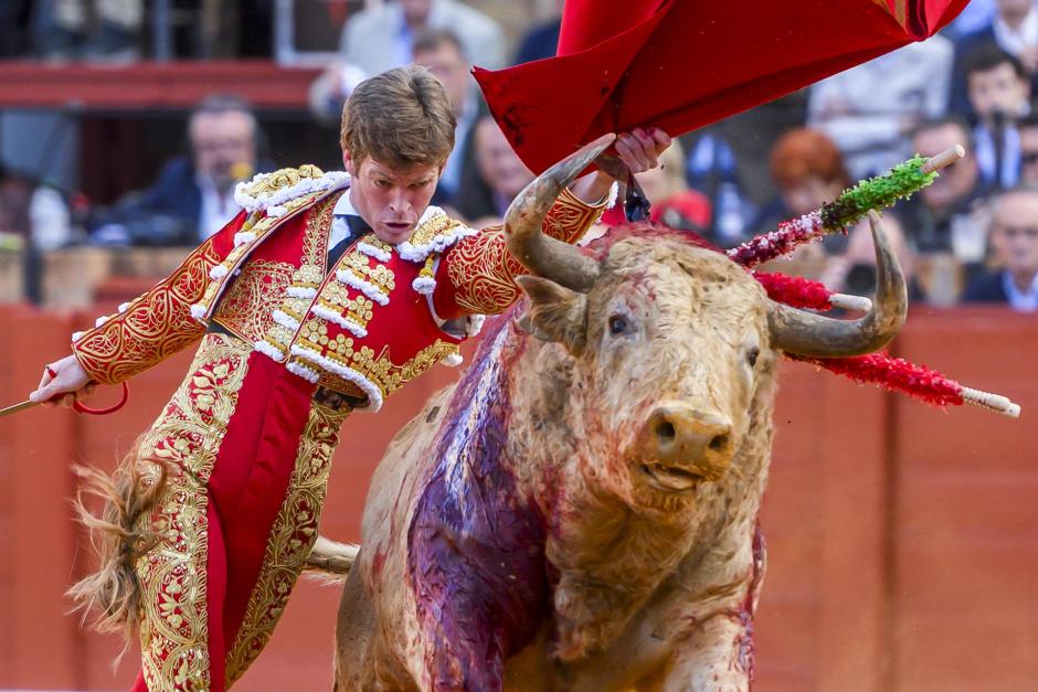 Pase de pecho de Borja Jiménez ante ese toro albahío, tan poco frecuente