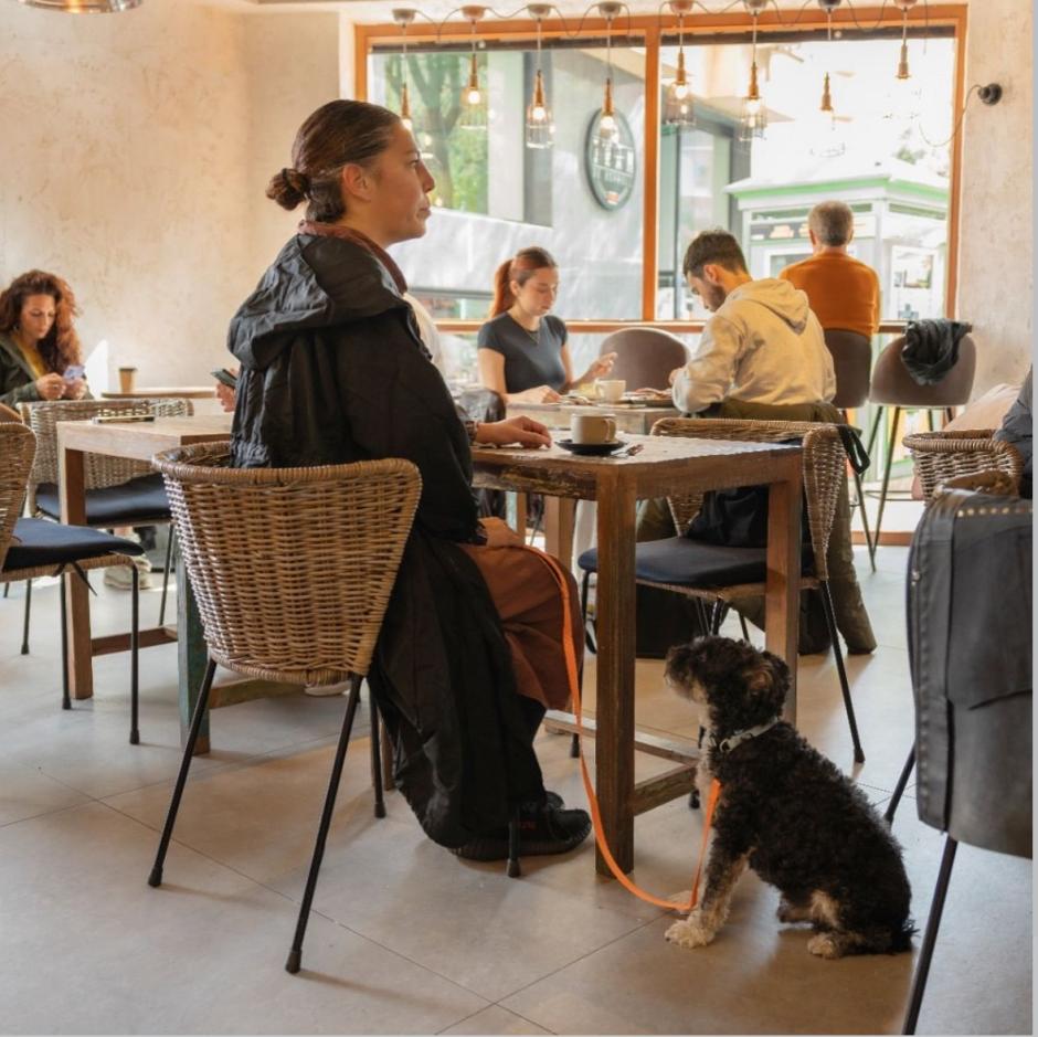Estos son los mejores locales donde es posible salir a comer con tu mascota en Valencia
