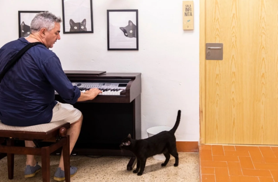 Estos son los mejores locales donde es posible salir a comer con tu mascota en Valencia