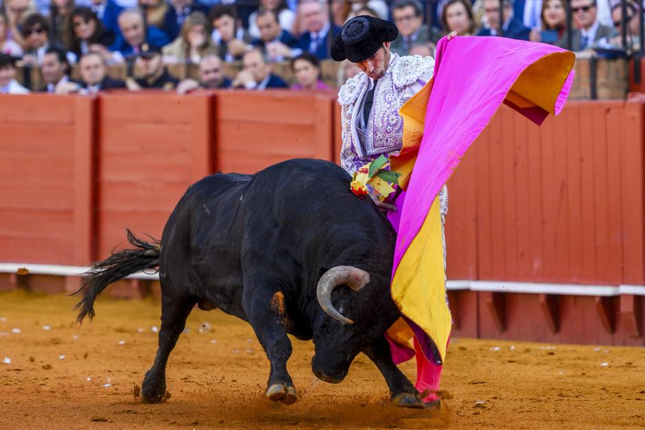 Cayetano, con la capa ante el primer de su lote el día de su despedida en Sevilla