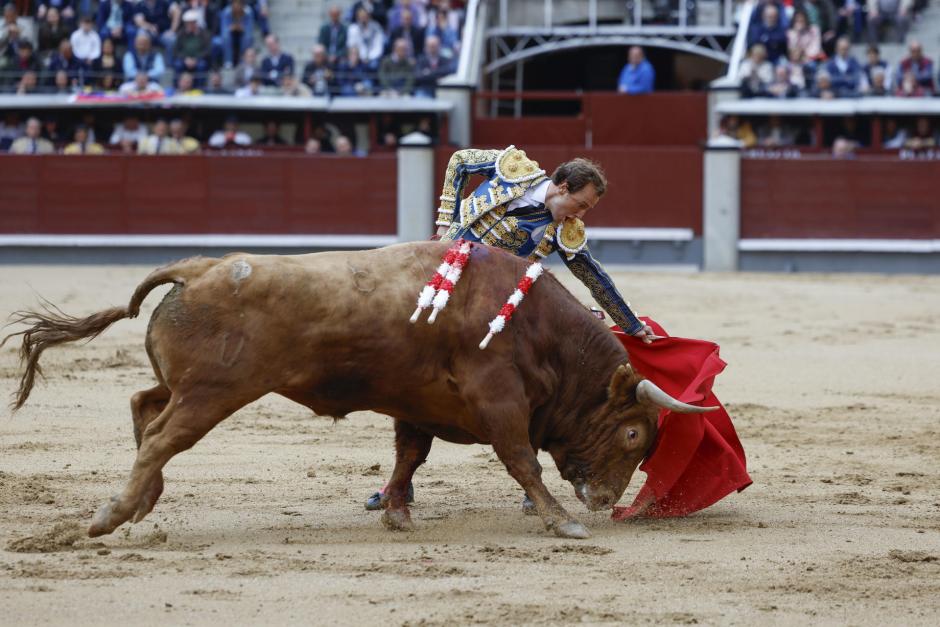 Román Collado, con el primero de su lote, de 630 kilos