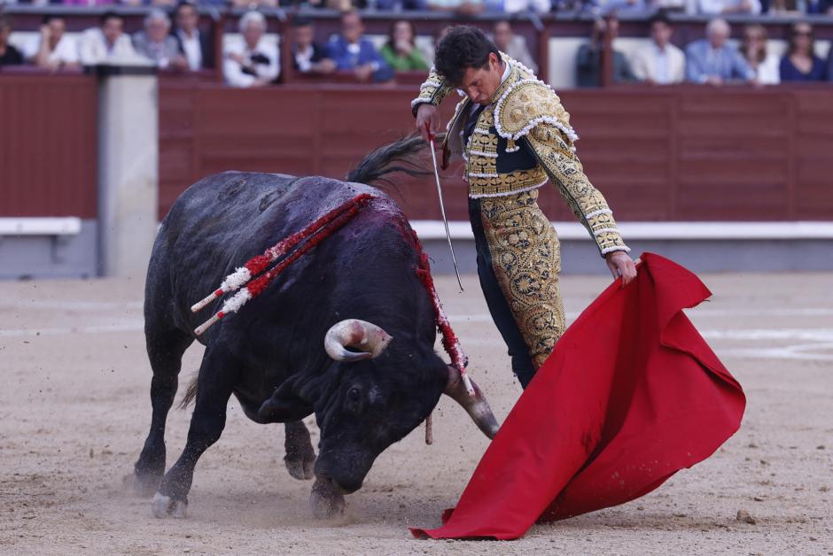 Daniel Luque, con el primero de su lote, de nombre Solitario y 574 kilos
