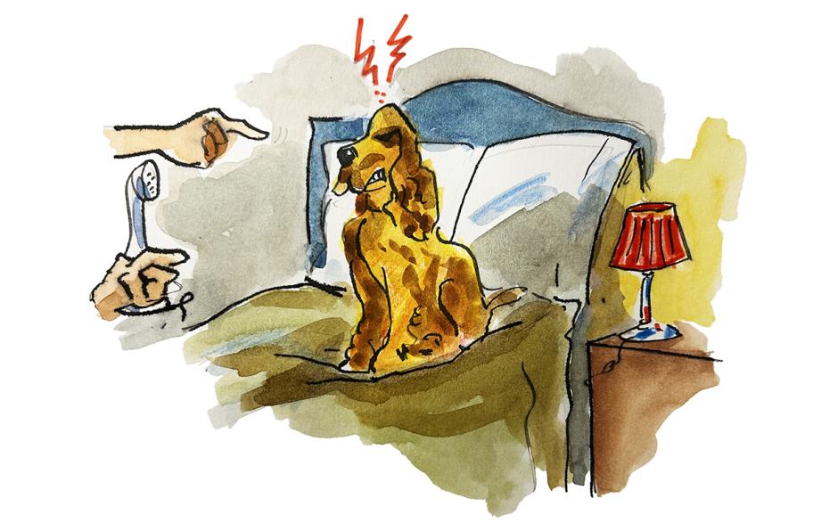 Ilustración de Barca