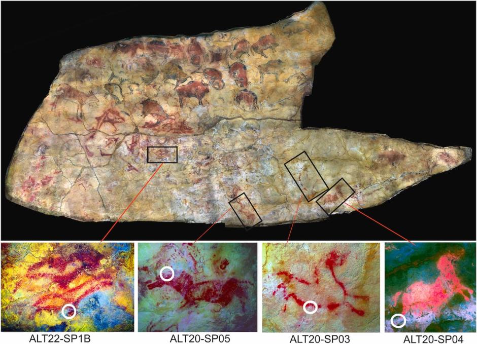 Localización de las muestras obtenidas en el techo de la Sala de los Polícromos