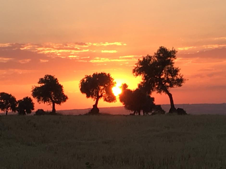 Anochecer en el campo este mes de junio