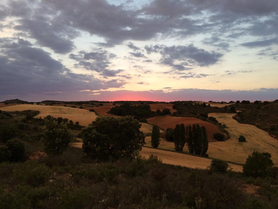 Paisaje de junio en la naturaleza