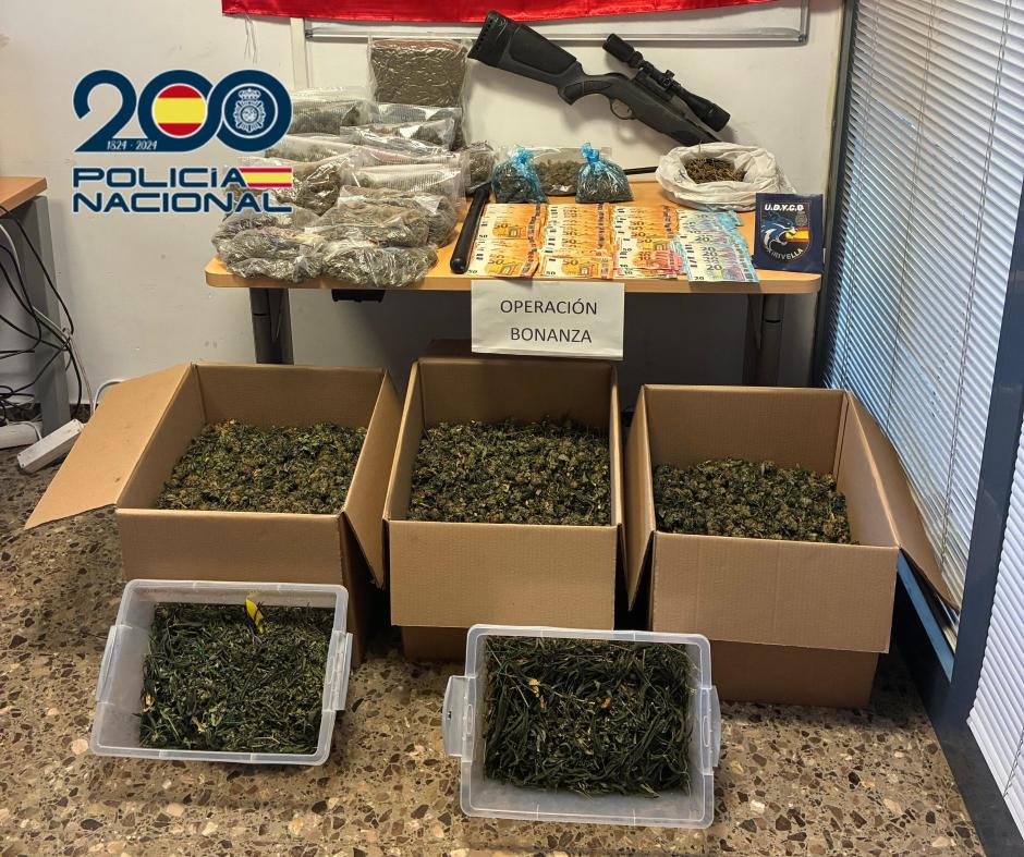 Plantación con 425 plantas de marihuana y cuatro detenidos en Náquera, Valencia
