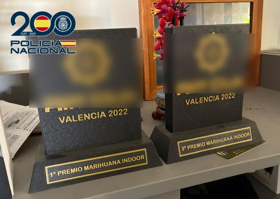 Trofeos de mejor marihuana incautados en la macroplantación de Náquera, Valencia