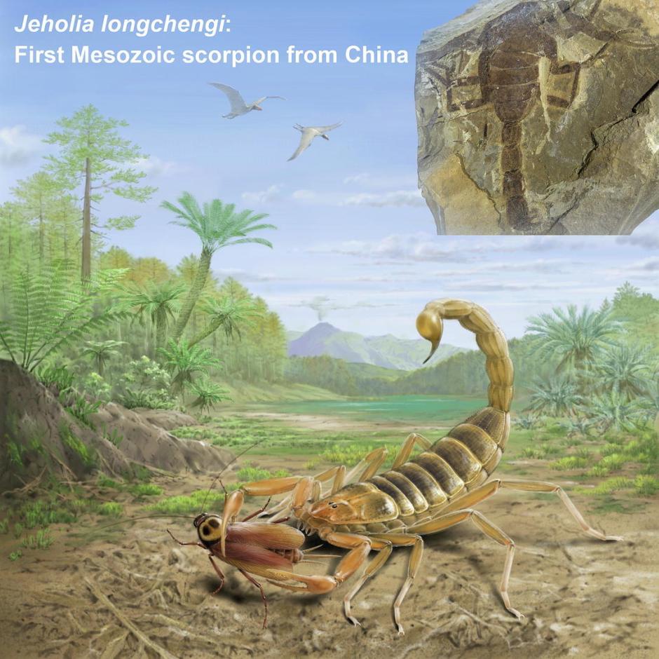 Ilustración del escorpión que habitó la Tierra hace 125 millones de años