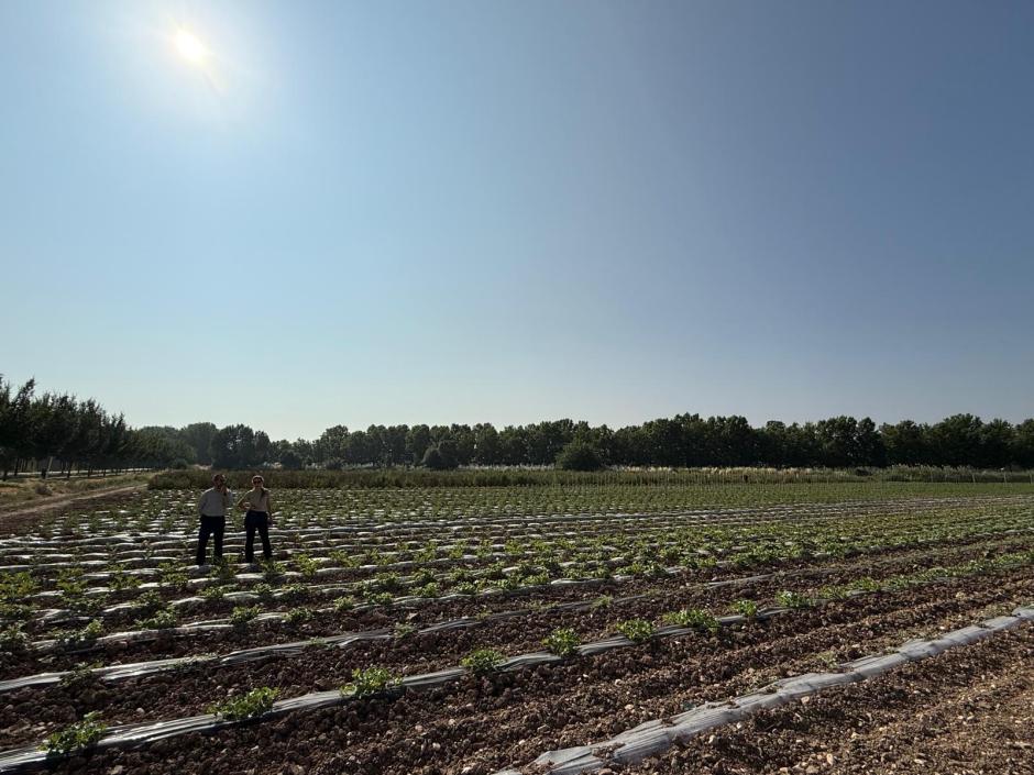 Los agroasesores son una pieza clave en la agricultura madrileña