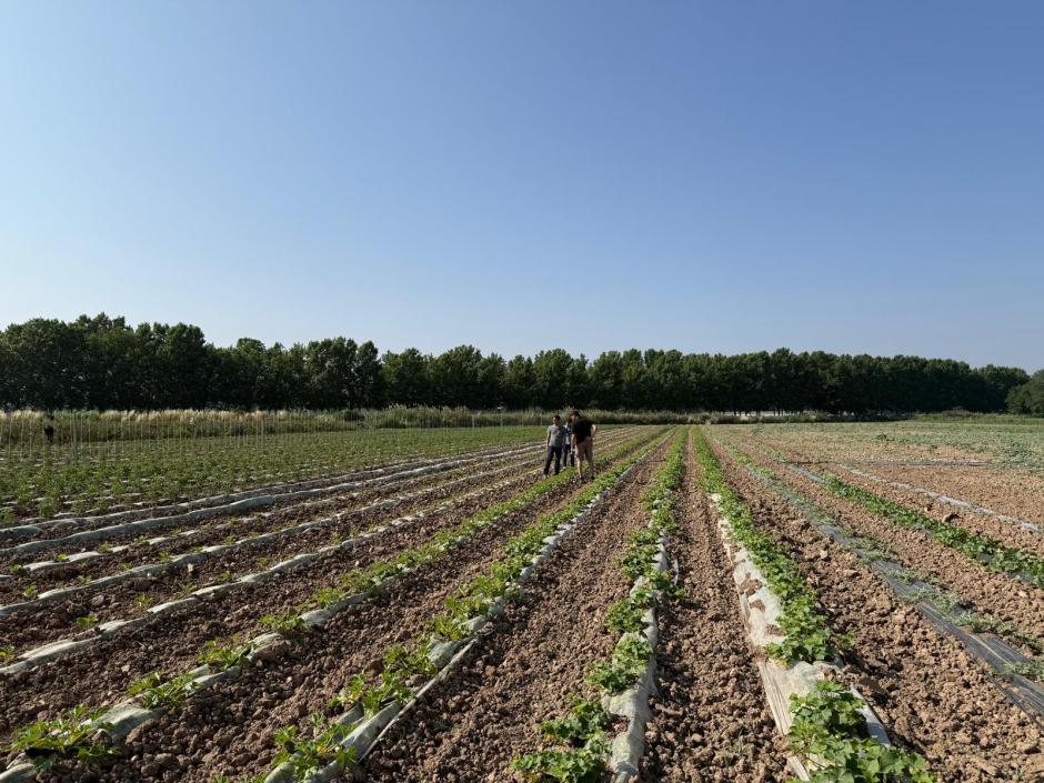 Los agroasesores son una pieza clave en la agricultura madrileña