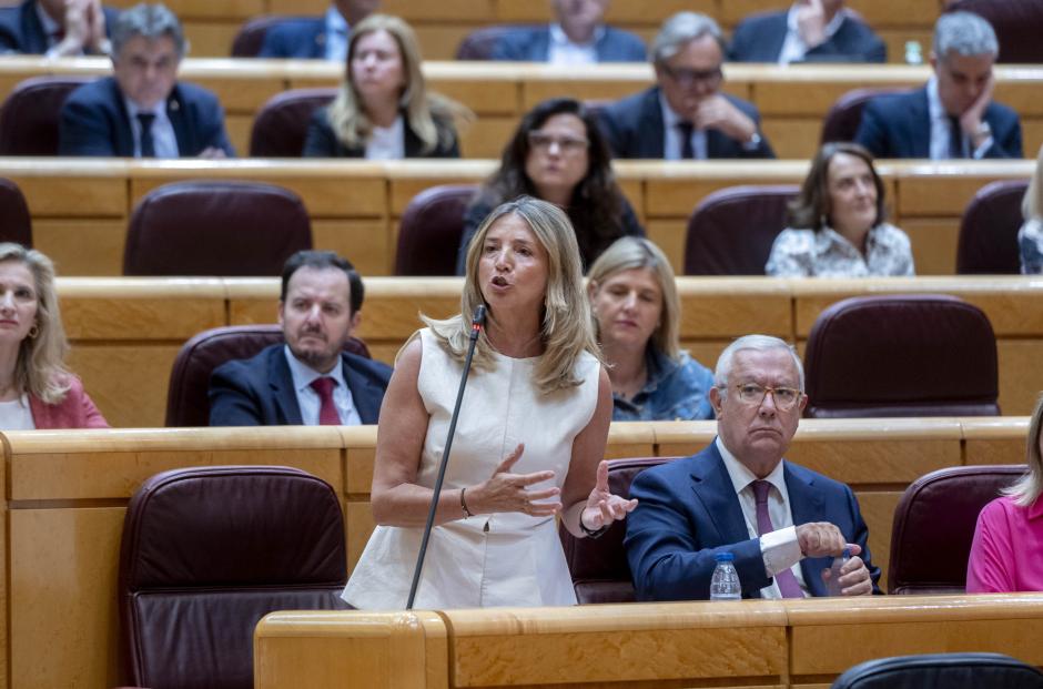 La portavoz del PP en el Senado, Alicia García