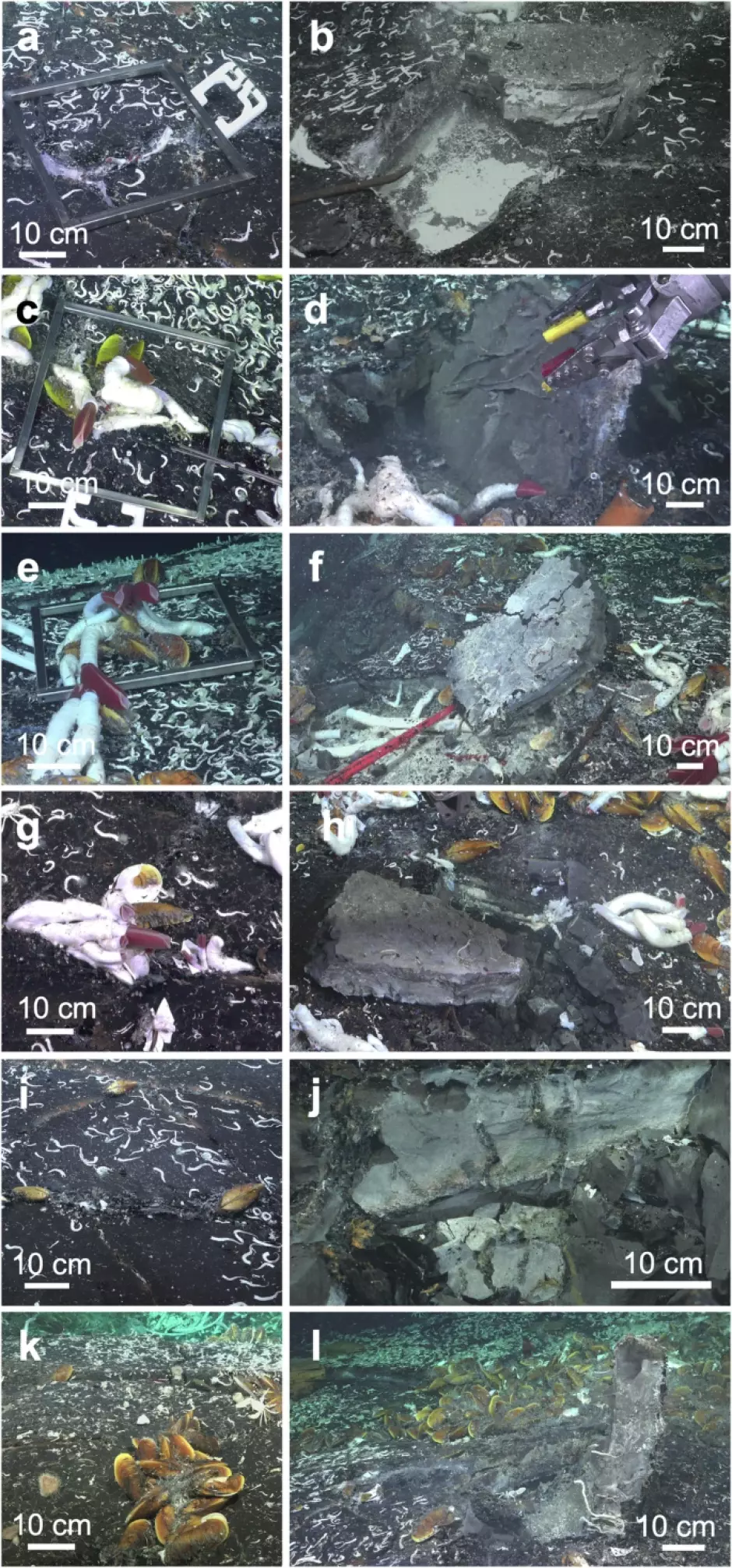 Respiraderos hidrotermales de la superficie del fondo marino y respectiva excavación en la cavidad debajo de la plataforma de lava lobulada