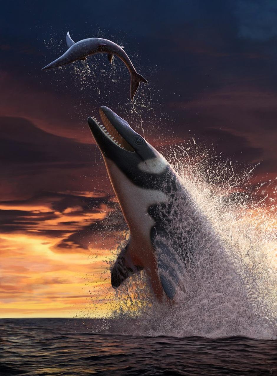 Ilustración del mosasaurio Thalassotitan atrox