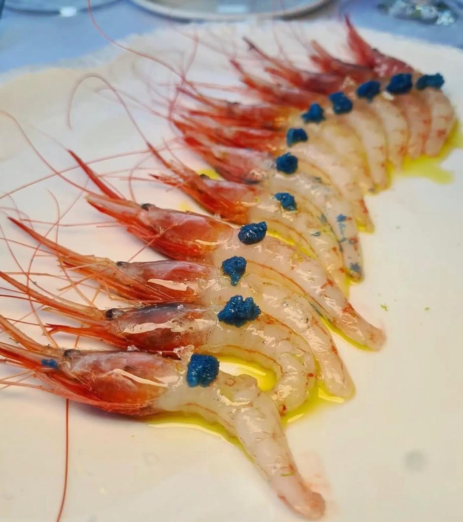 Los Marinos José