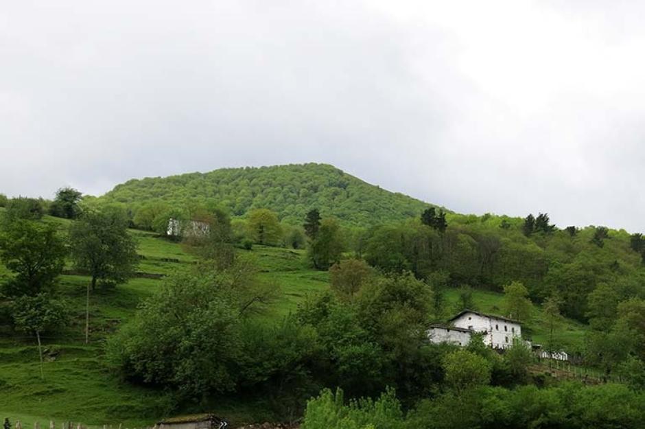 Donamaría