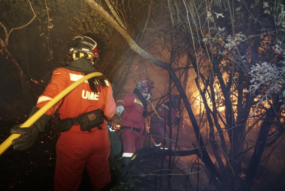 Militares de la UME trabajando en el incendio de Métrida (Toledo)