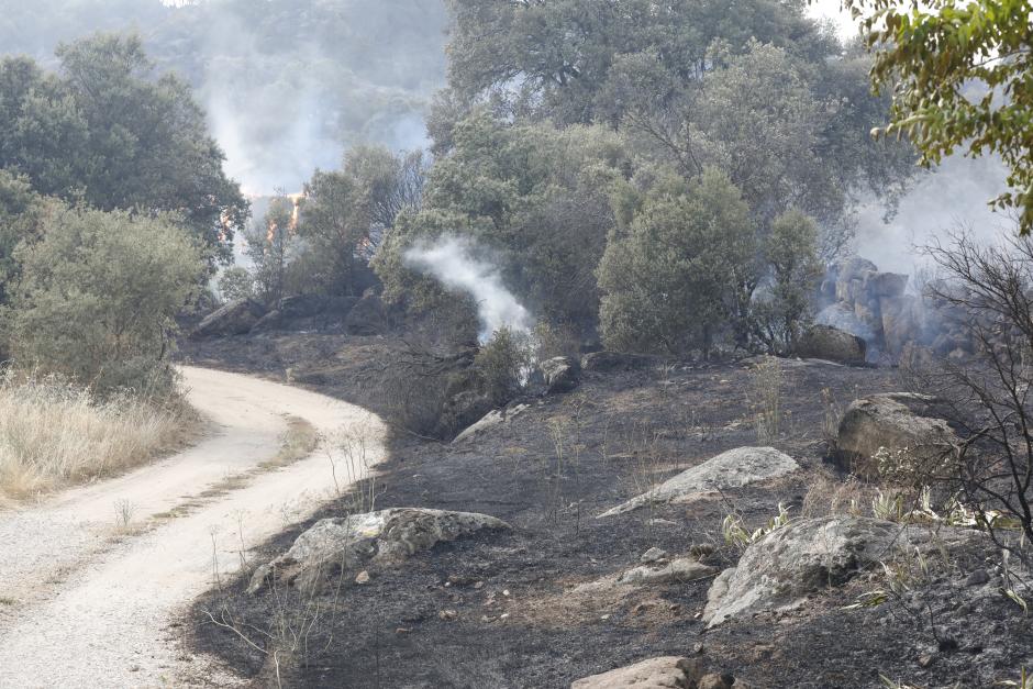 La Junta activa la situación operativa dos ante la evolución del incendio de Navaluenga (Ávila). En la foto Pedro Pérez Caraballo, uno de los vecinos afectados por el incendio