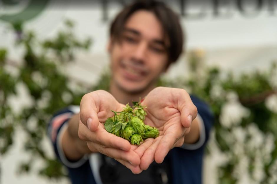 Un joven sostiene lúpulo