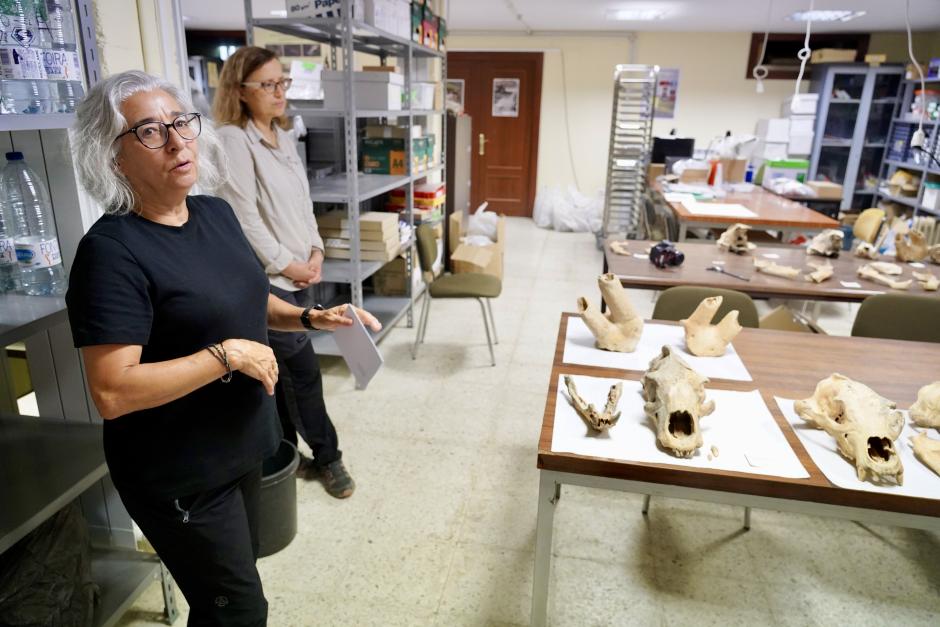 Investigadores de la Universidad de León y del Museo Nacional de Ciencias Naturales presentan la primera Campaña de recuperación de restos de fauna del Cuaternario en cuevas de la provincia
