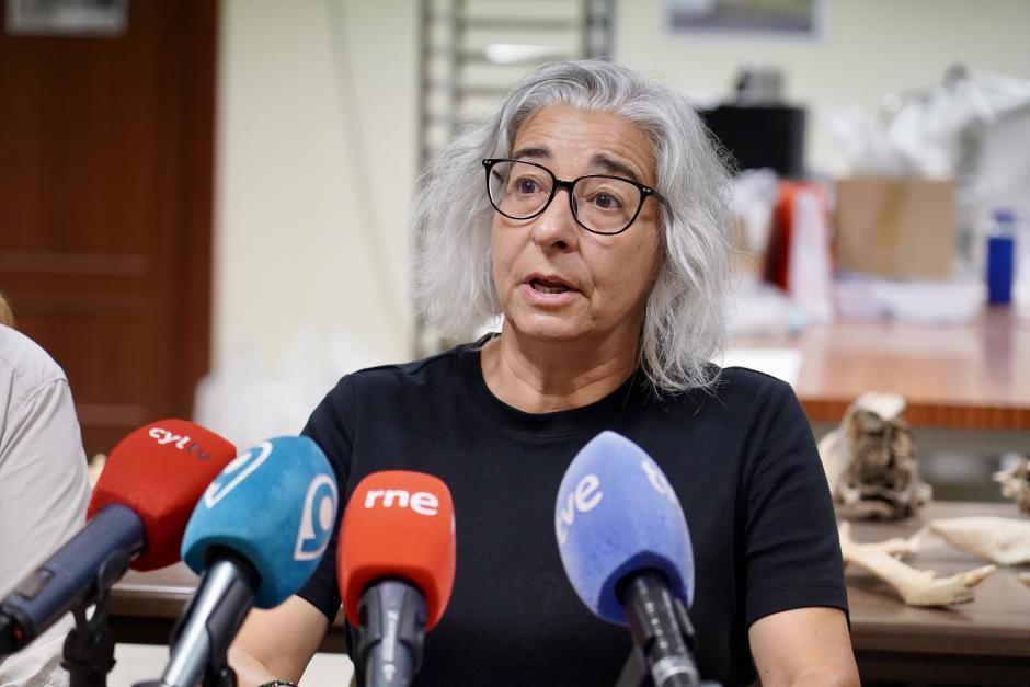 Investigadores de la Universidad de León y del Museo Nacional de Ciencias Naturales presentan la primera Campaña de recuperación de restos de fauna del Cuaternario en cuevas de la provincia