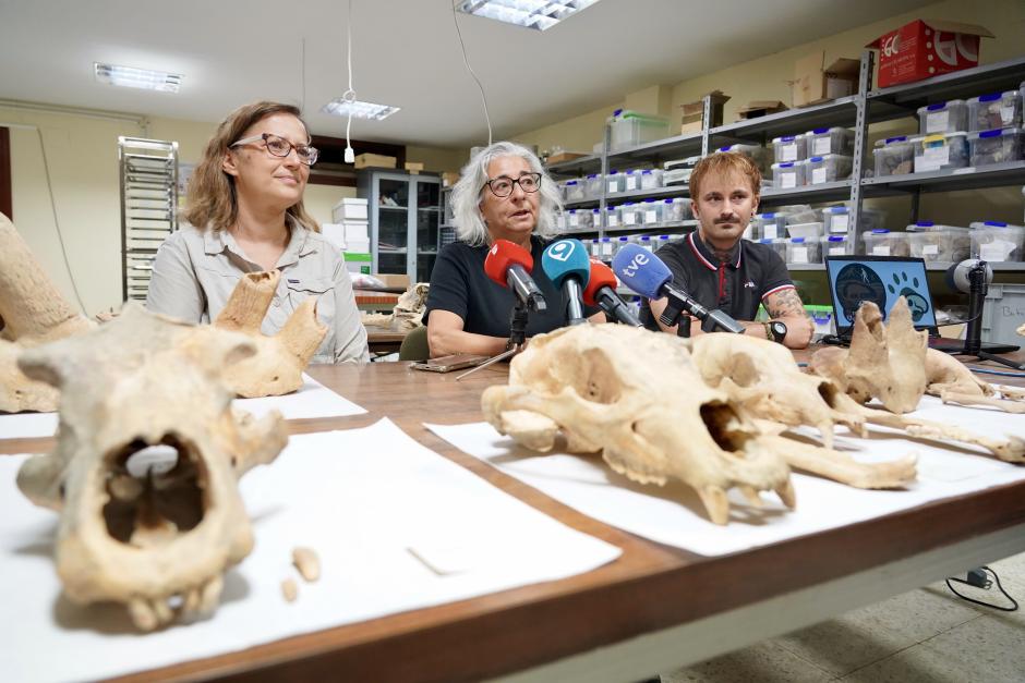 Investigadores de la Universidad de León y del Museo Nacional de Ciencias Naturales presentan la primera Campaña de recuperación de restos de fauna del Cuaternario en cuevas de la provincia