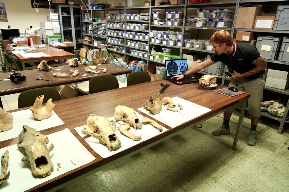 Investigadores de la Universidad de León y del Museo Nacional de Ciencias Naturales presentan la primera Campaña de recuperación de restos de fauna del Cuaternario en cuevas de la provincia