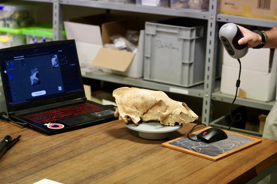 Investigadores de la Universidad de León y del Museo Nacional de Ciencias Naturales presentan la primera Campaña de recuperación de restos de fauna del Cuaternario en cuevas de la provincia