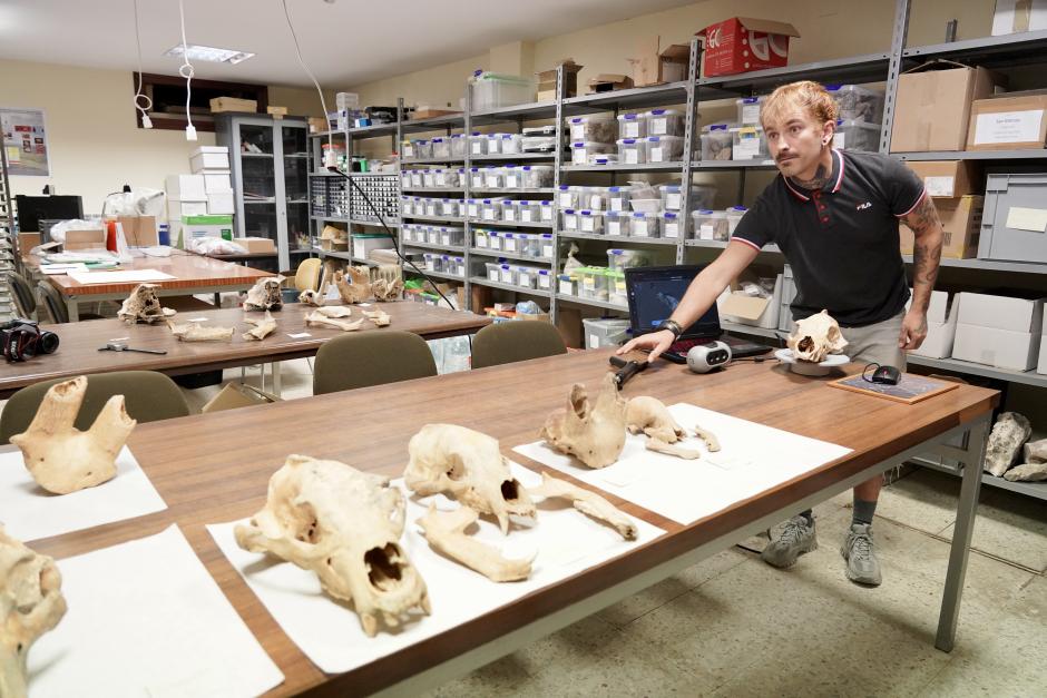Investigadores de la Universidad de León y del Museo Nacional de Ciencias Naturales presentan la primera Campaña de recuperación de restos de fauna del Cuaternario en cuevas de la provincia