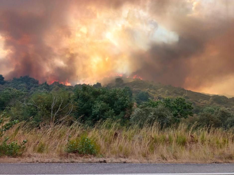 No ha dañado a las minas de oro romanas, pero sí a la vegetación de su entorno, como castaños centenarios que han quedado arrasados