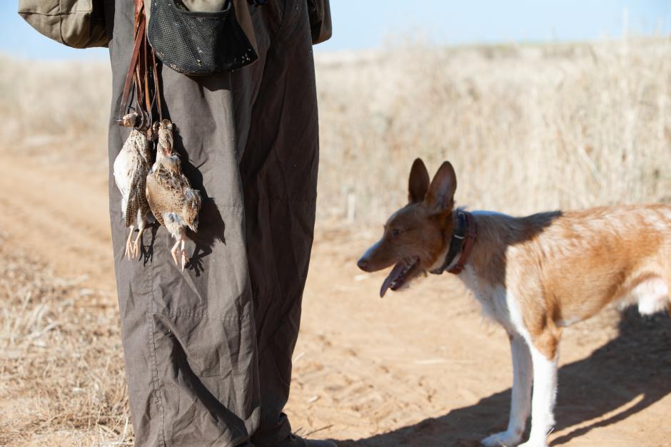 Un cazador, en una imagen de archivo