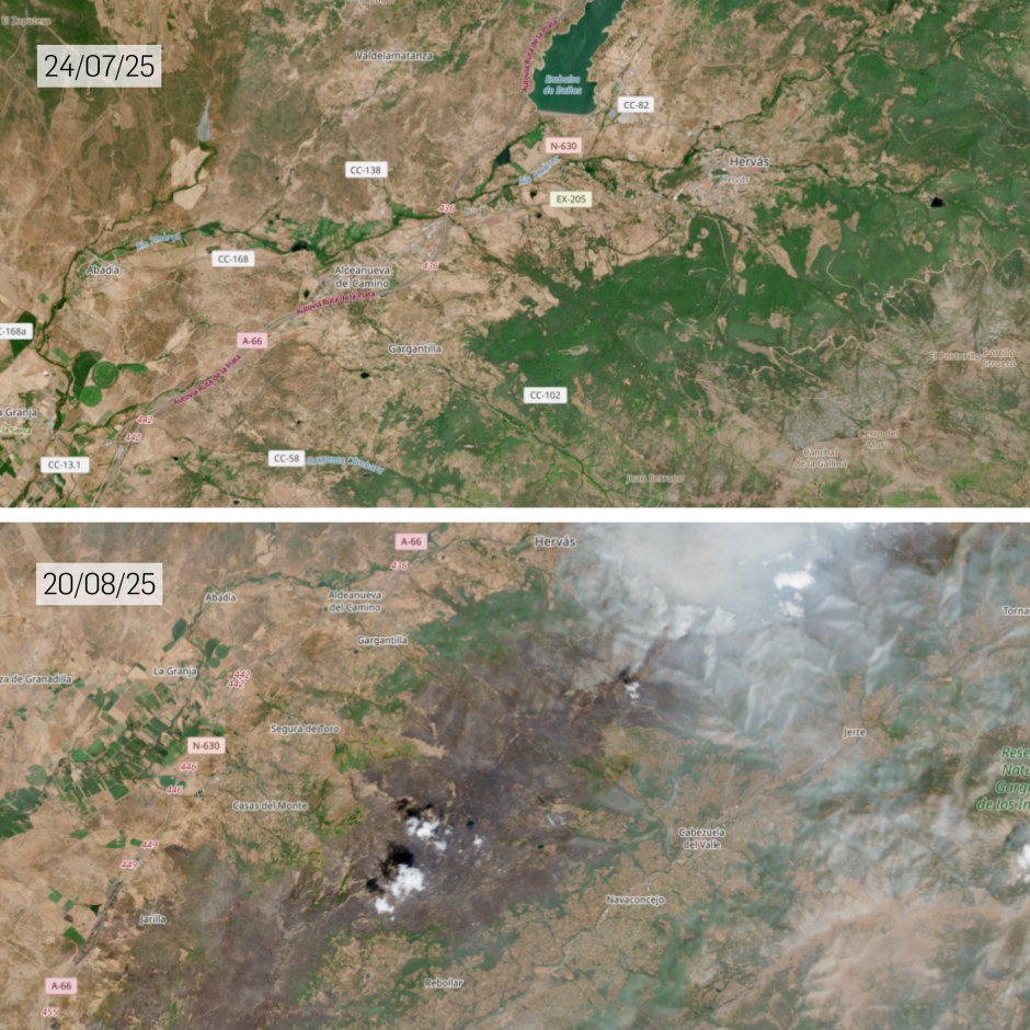 incendio jarilla antes y después