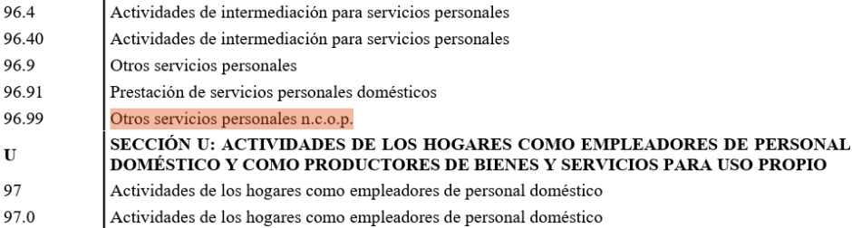 Imagen del epígrafe 96.99 de «Otros servicios personales n.c.o.p.»
