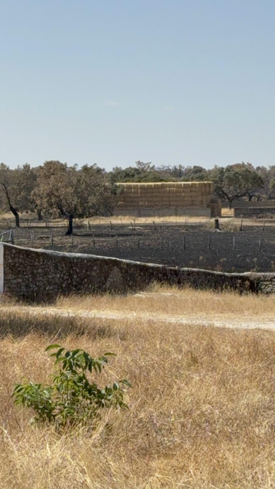 El "milagro" de unas pacas de paja que se salvaron de un fuego en Salamanca