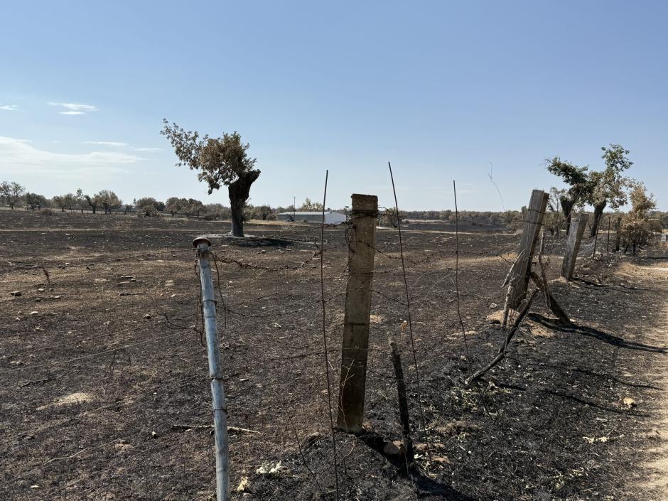 El "milagro" de unas pacas de paja que se salvaron de un fuego en Salamanca