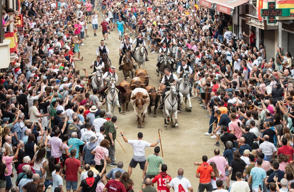 Imagen de la Entrada de Toros y Caballos de Segorbe celebrada este lunes