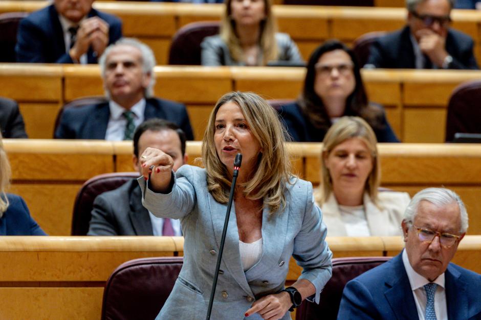 La portavoz del PP en el Senado, Alicia García