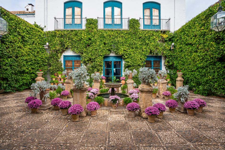 Patio del Palacio de Viana.