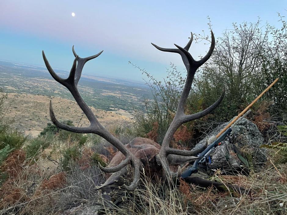 Venado con la luna antes de anochecer