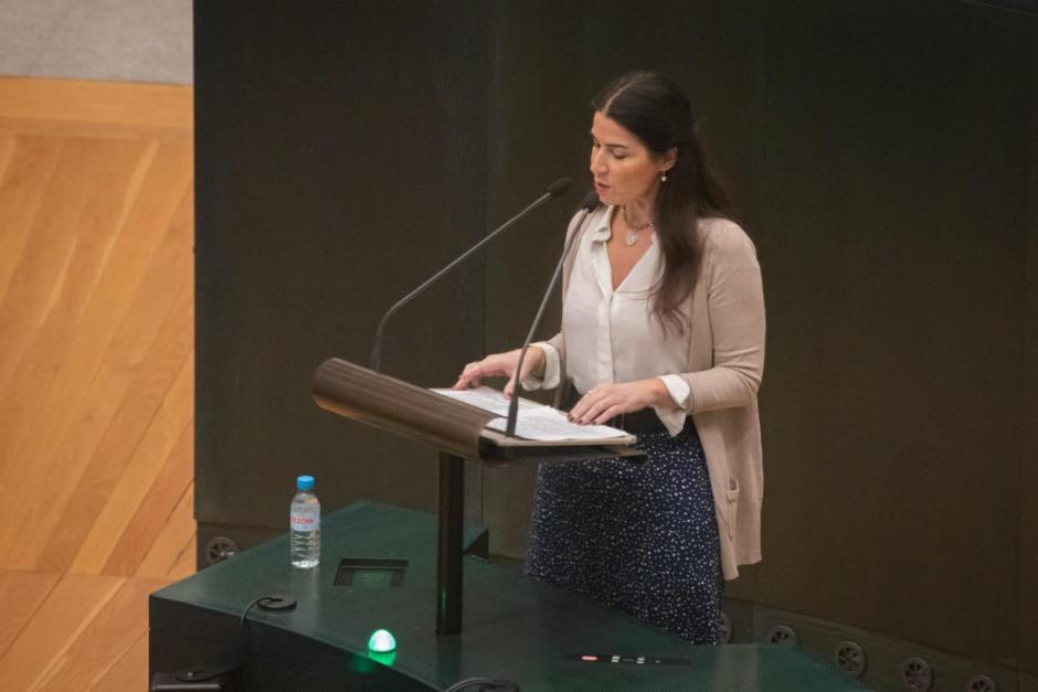 Carla Toscano, concejal de Vox en el Ayuntamiento de Madrid, durante una sesión plenaria