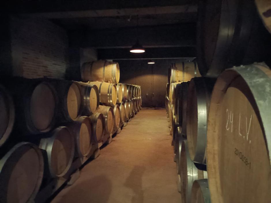 Toneles de vino en la bodega soriana Dominio de Atauta