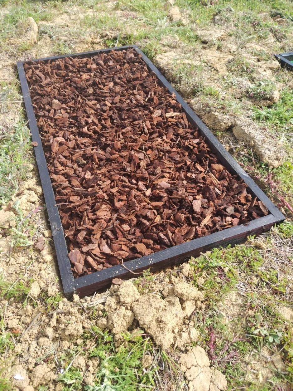 Una tumba animal en Morales del Vino, Zamora